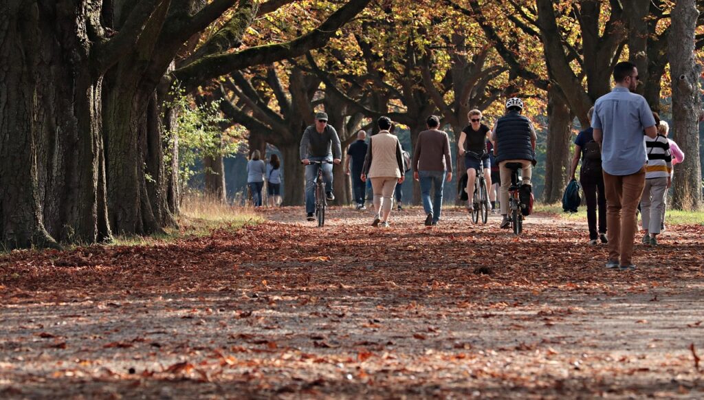 people on a walkway in the park, fallen leaves on the ground.